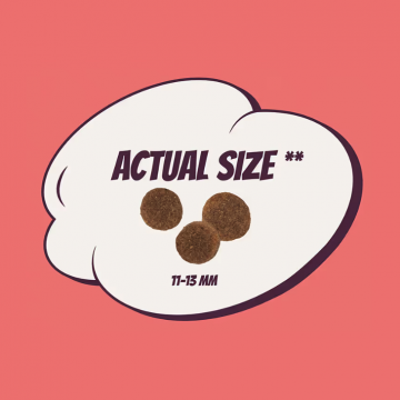 POW! Single Protein Pork SUPER POWER 12kg