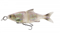 Savage Gear 3D Glide Roach 23cm 170g GHST Roach