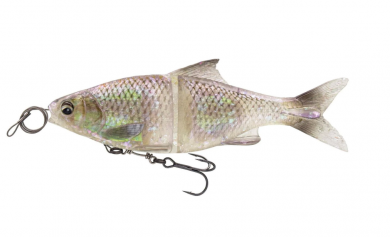 Savage Gear 3D Glide Roach 23cm 170g GHST Roach