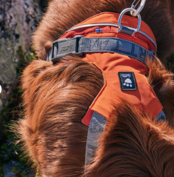 Hurtta Rover valjas 65-80cm Kaneli