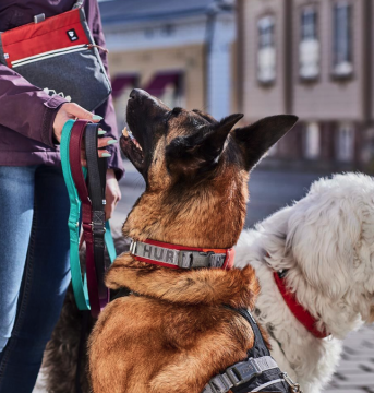 Hurtta Rover panta 35-45cm Kaneli