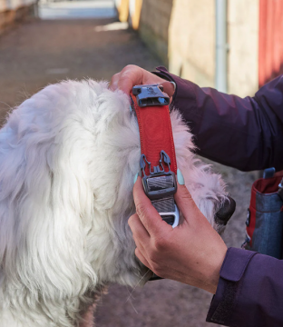 Hurtta Rover panta 45-55cm Kaneli