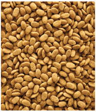 VL NutriBird P15 Original 1 kg