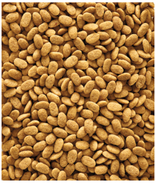 VL NutriBird P15 Original 1 kg