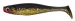 Patriot Baitfish Slim 6kpl 5cm 05