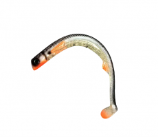 Polarbite Fishing Alfa Shad 40cm 185g Stifmeister