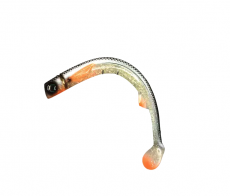 Polarbite Fishing Beta Shad 30cm 100g Stifmeister