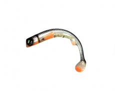 Polarbite Fishing Delta Shad 25cm 70g Stifmeister