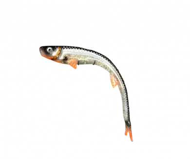 Polarbite Fishing Vertical24 24cm 45g Stifmeister