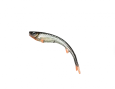Polarbite Fishing Vertical18 18cm 25g Stifmeister