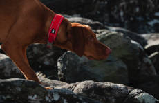 Hurtta Weekend Warrior ECO panta 45-55 Ruusunmarja 