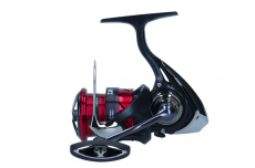 Daiwa Ninja 23 LT 1000 Avokela