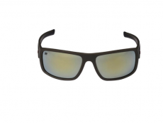 Abu Garcia Eyewear Revo Gold Green