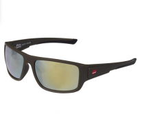 Abu Garcia Eyewear Revo Gold Green