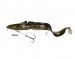 Savage Gear Burbot Shallow SS 25cm 70g Gold Burbot