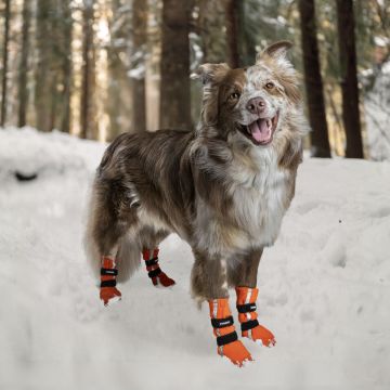 Finnero HALLA Heijastavat Tossut Koiralle 4kpl/pkt Oranssi M