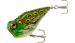 Rebel Pop'n Frog 4.7cm 5,3g Bullfrog