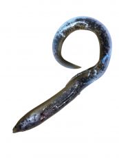 Savage Gear Real Eel 40cm 147g Green Lamprey