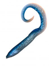 Savage Gear Real Eel 40cm 147g Blue Fegis Eel