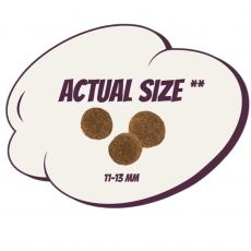 Monster Dog GF Puppy L/XL Lamb&Duck 2kg