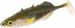 Mikado Real Fish Stickleback 5cm Green Pumpkin