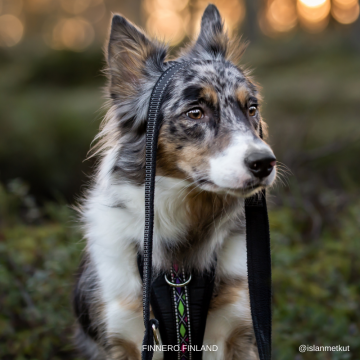 Finnero RESCUE Monitoimitalutin, musta 2cmx300cm