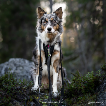 Finnero RESCUE Monitoimitalutin, musta 2cmx300cm