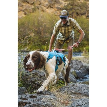 RuffWear Valjaat Web Master XS 