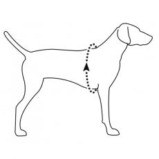 RuffWear Valjaat Web Master L/XL