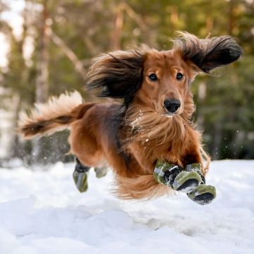 Finnero HALLA Heijastavat Tossut Koiralle 4kpl/pkt Vihreä M