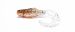 Orka Shad Tail 7.5cm SF04