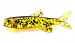 Orka Small Fish 5cm BR2