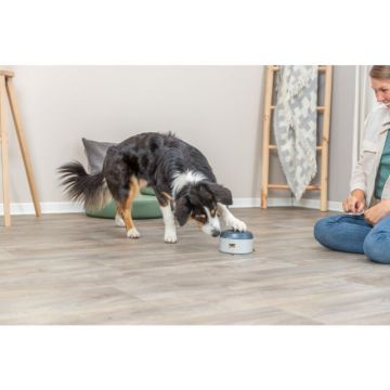 Trixie Dog Activity Buzzer 14×9.5 cm