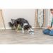Trixie Dog Activity Buzzer 14×9.5 cm