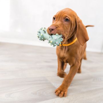 Trixie Junior Lateksipuntti, äänetön koiranlelu 10 cm