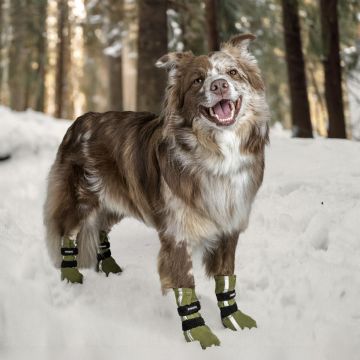 Finnero HALLA Heijastavat Tossut Koiralle 4kpl/pkt Vihreä M