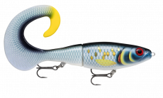 Rapala X-Rap Otus 25 SCRB