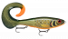 Rapala X-Rap Otus 25 SCRR