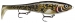 RAPALA X-RAP PETO Väri:ARB