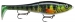 RAPALA X-RAP PETO Väri:PEL